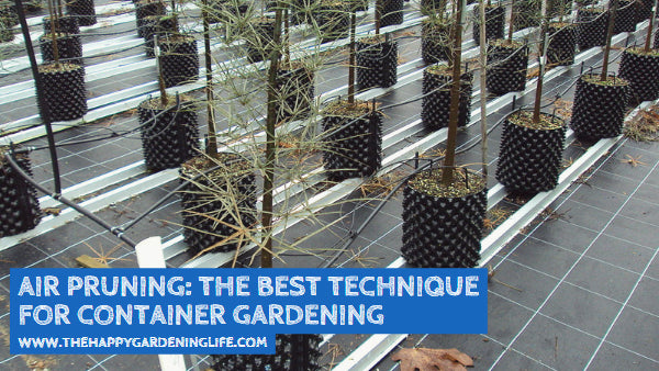 Air Pruning: The Best Technique for Container Gardening