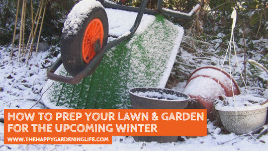 Winter Gardening Tips: How to Prep Your Lawn & Garden for the Upcoming Winter