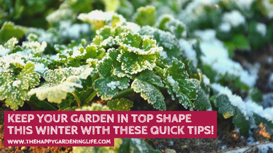 Keep Your Garden in Top Shape This Winter With These Quick Tips!