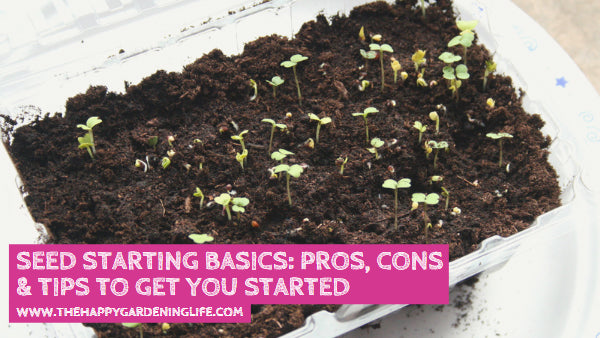 Seed Starting Basics: Pros, Cons & Tips to Get You Started