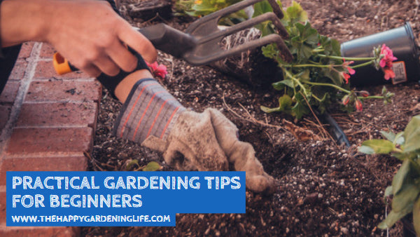 Practical Gardening Tips for Beginners