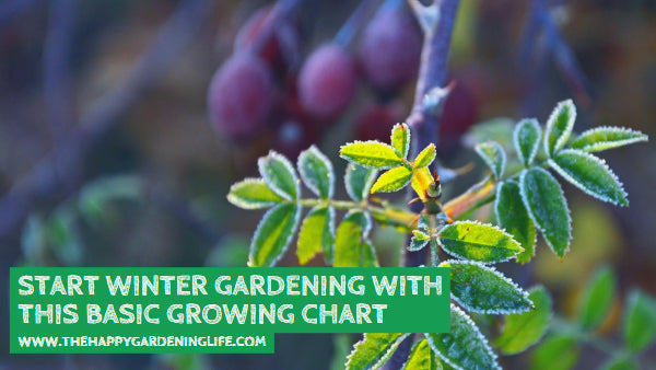 Start Winter Gardening With This Basic Growing Chart