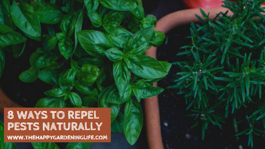 8 Ways to Repel Pests Naturally
