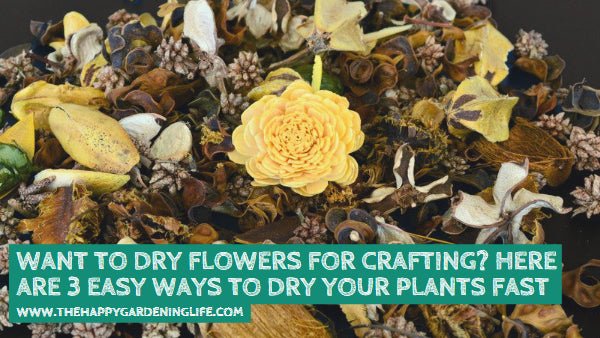Want to Dry Flowers for Crafting? Here are 3 Easy Ways to Dry Your Plants Fast