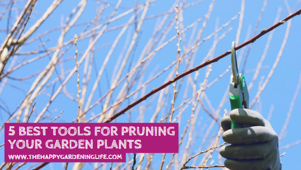5 Best Tools for Pruning Your Garden Plants