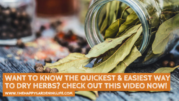 Want to Know the Quickest & Easiest Way to Dry Herbs? Check Out This Video Now!