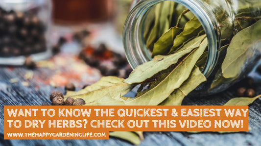 Want to Know the Quickest & Easiest Way to Dry Herbs? Check Out This Video Now!