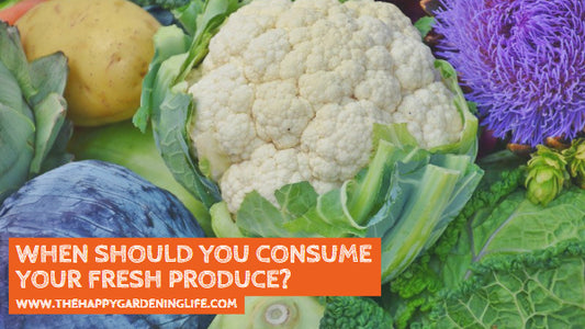 When Should You Consume Your Fresh Produce? Let This Produce Shelf Life Chart Be Your Guide