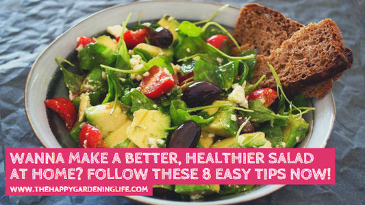 Wanna Make a Better, Healthier Salad at Home? Follow These 8 Easy Tips Now!