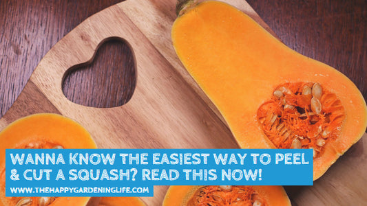 Wanna Know the Easiest Way to Peel & Cut a Squash? Read This Now!