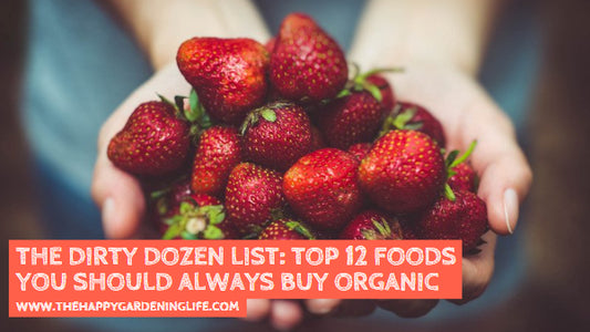 The Dirty Dozen List: Top 12 Foods You Should Always Buy Organic