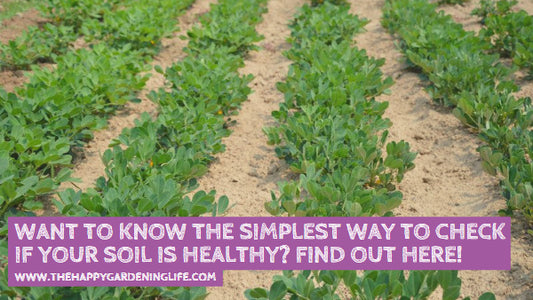 Want to Know the Simplest Way to Check If Your Soil is Healthy? Find Out Here!