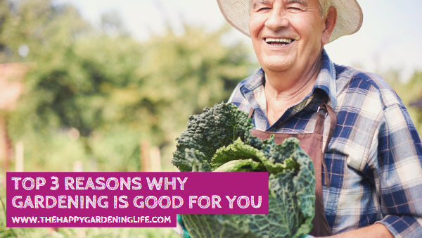 Top 3 Reasons Why Gardening is Good for You