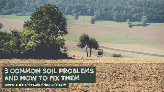 3 Common Soil Problems and How to Fix Them