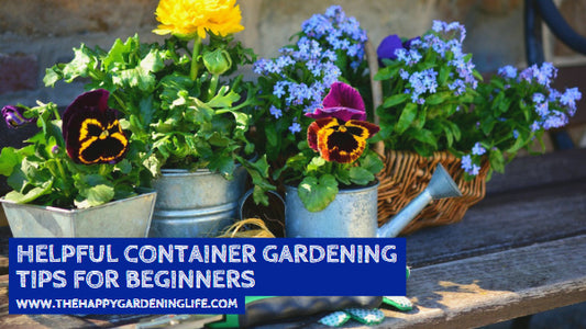 Helpful Container Gardening Tips for Beginners