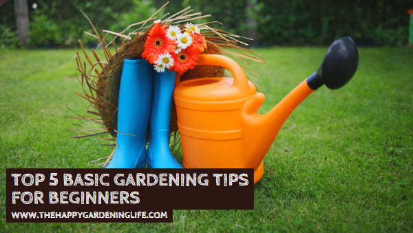 Top 5 Basic Gardening Tips for Beginners