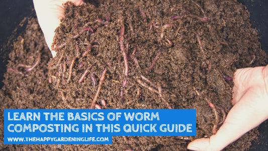 Learn the Basics of Worm Composting in this Quick Guide