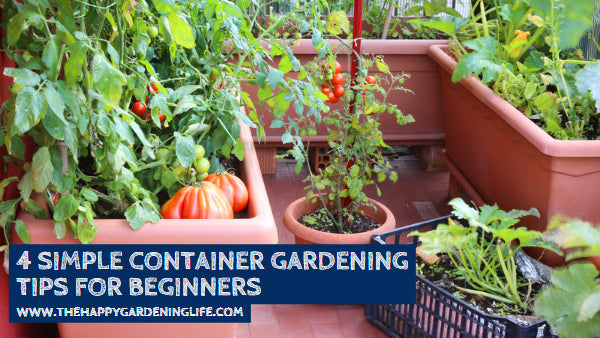 4 Simple Container Gardening Tips For Beginners – The Happy Gardening Life