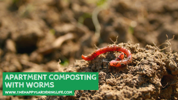 Apartment Composting With Worms – The Happy Gardening Life