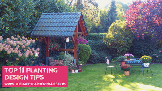 Top 11 Planting Design Tips