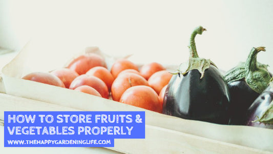 How to Store Fruits & Vegetables Properly