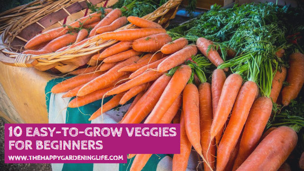 10 Easy-to-Grow Veggies for Beginners