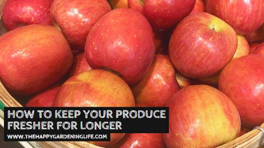 How to Keep Your Produce Fresher for Longer