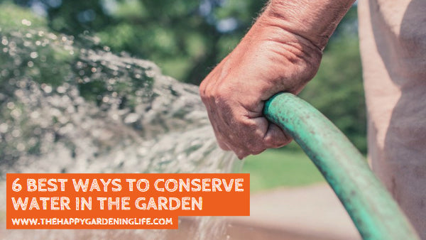 6 Best Ways to Conserve Water in the Garden
