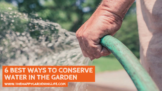 6 Best Ways to Conserve Water in the Garden
