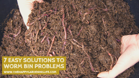 7 Easy Solutions to Worm Bin Problems