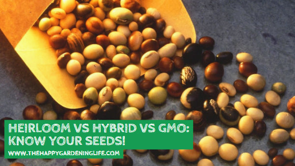 Heirloom vs Hybrid vs GMO: Know Your Seeds!