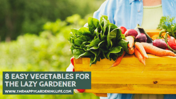 8 Easy Vegetables for the Lazy Gardener