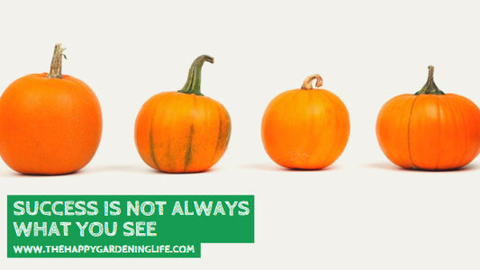 Success Is Not Always What You See