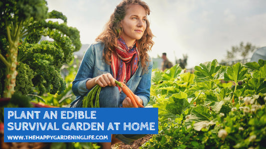 Plant an Edible Survival Garden at Home