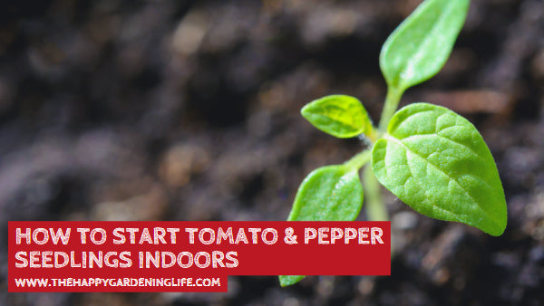 How to Start Tomato & Pepper Seedlings Indoors