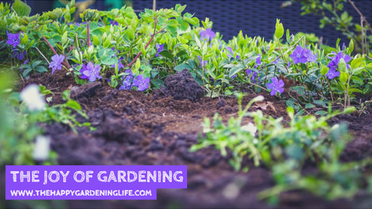The Joy Of Gardening