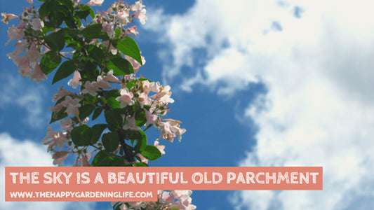 The Sky Is A Beautiful Old Parchment