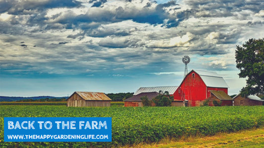 Back To The Farm