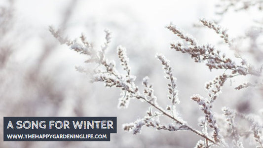 A Song For Winter