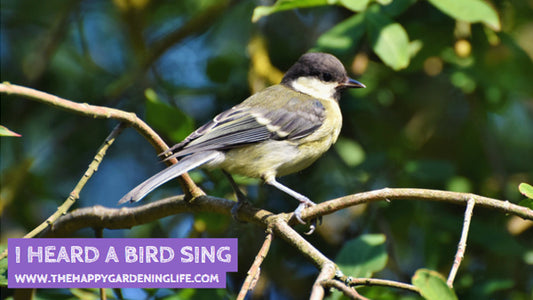 I Heard A Bird Sing
