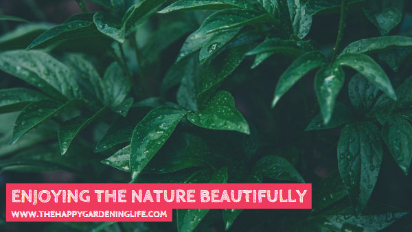 Enjoying The Nature Beautifully