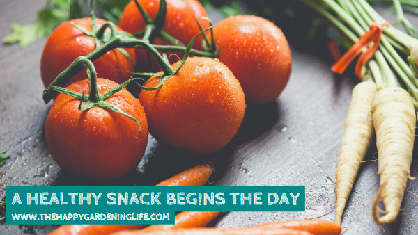 A Healthy Snack Begins The Day