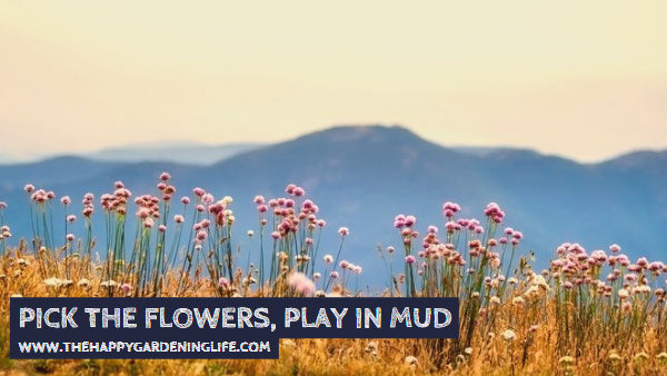 Pick The Flowers, Play In Mud