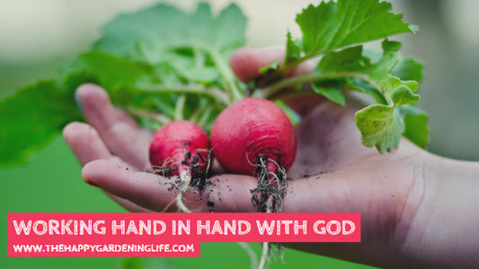 Working Hand In Hand With God