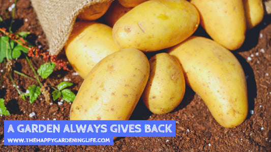 A Garden Always Gives Back