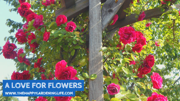 A Love For Flowers