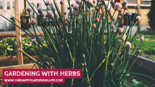 Gardening With Herbs