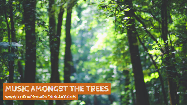 Music Amongst The Trees