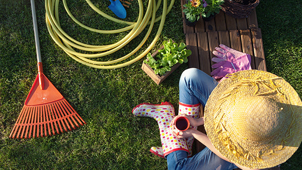 August Garden Chores