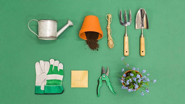 February Garden Chores
